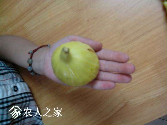 IMG_20160627_192748.jpg