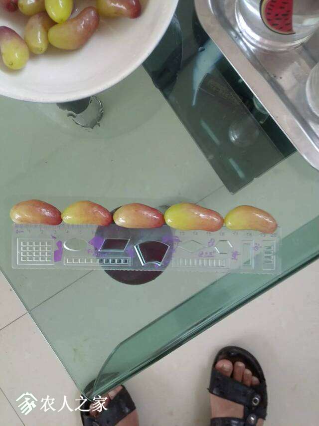 210214p6vvoarav6r886hh.jpeg