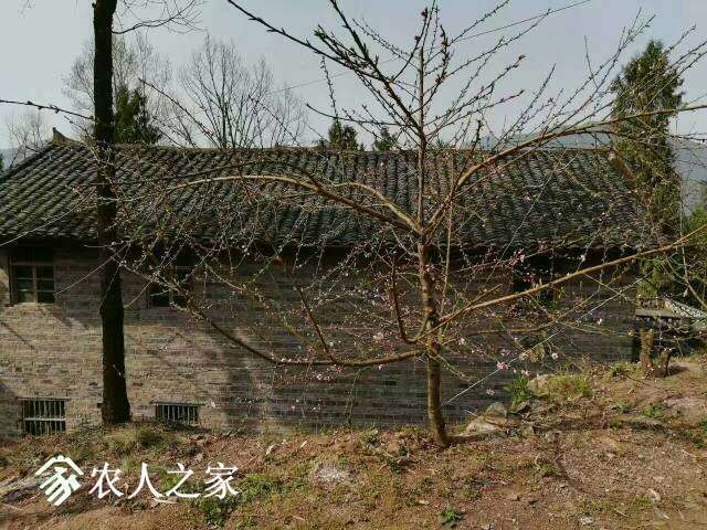 233323fjo3fkhzlziihsrw.jpg