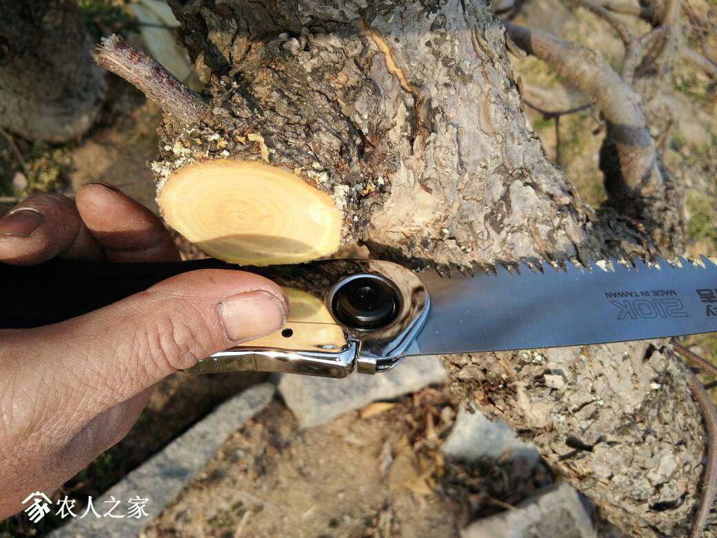 055137cc1pptvzopzuckze.jpg