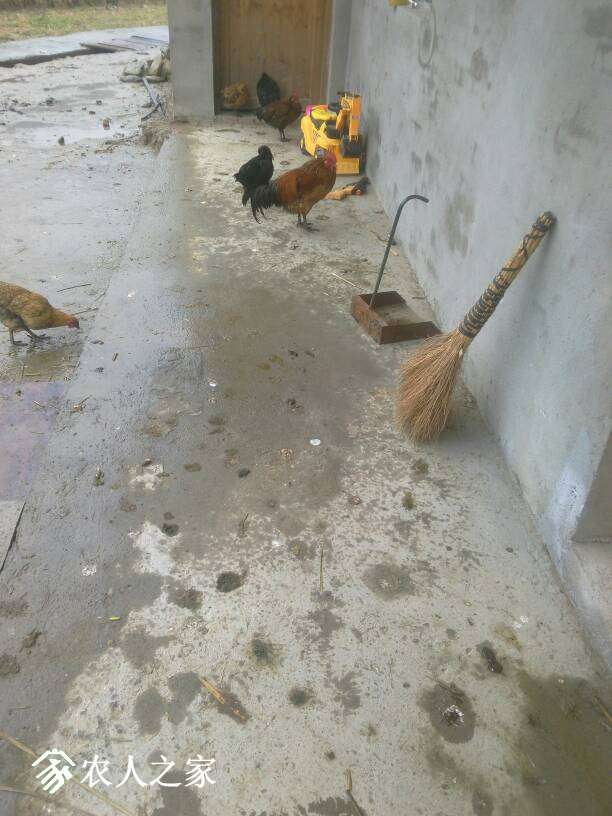 100550b0zfdmfdbtmwfecz.jpg