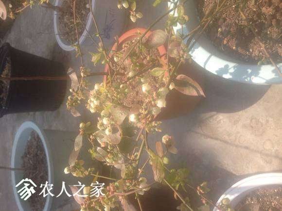 QQͼƬ20170309125752.jpg