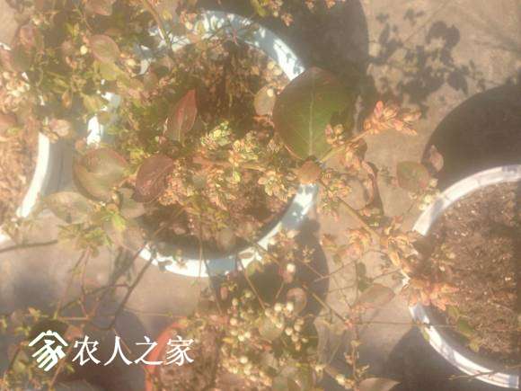 QQͼƬ20170309125815.jpg