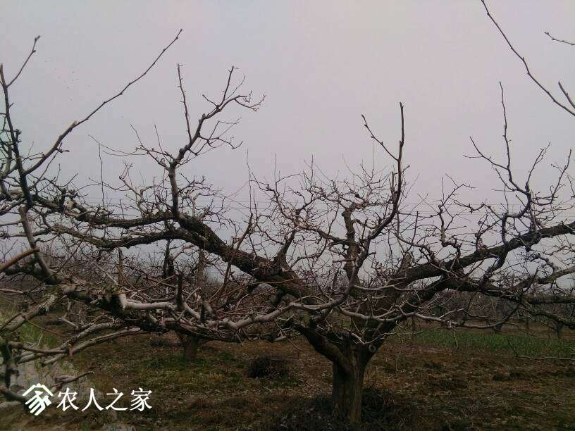 133542l3nnsg333330sqp6.jpg