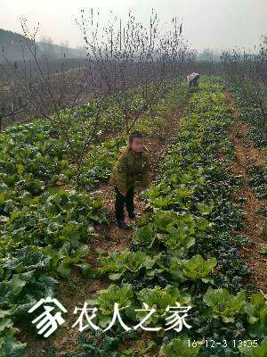 185513nbb11xc2ao6iarmr.jpg