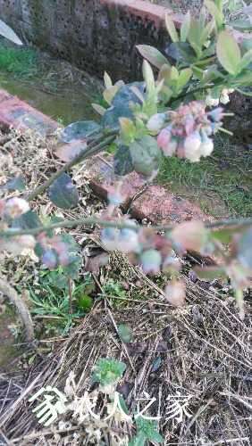 IMG_20170309_075553.jpg