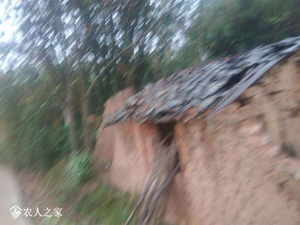 073052cutzctuirtrviiwj.jpg