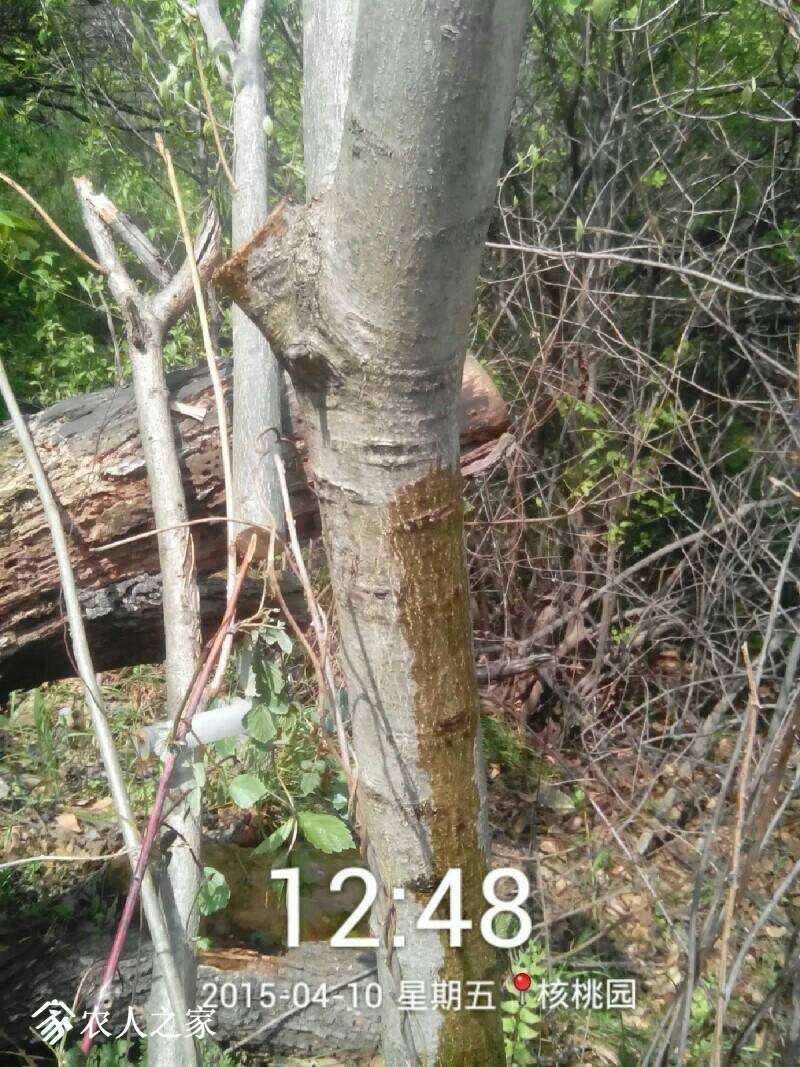 143732jqord4rqjcigqart.jpeg