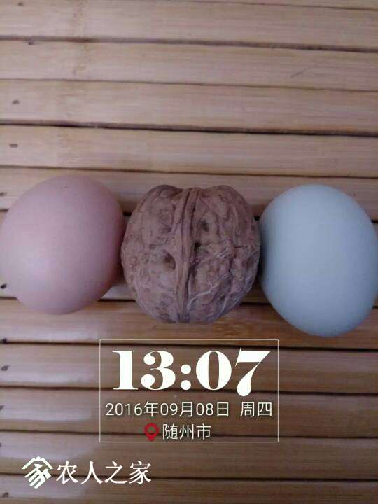 143736efqgedzeze7g7gkf.jpeg