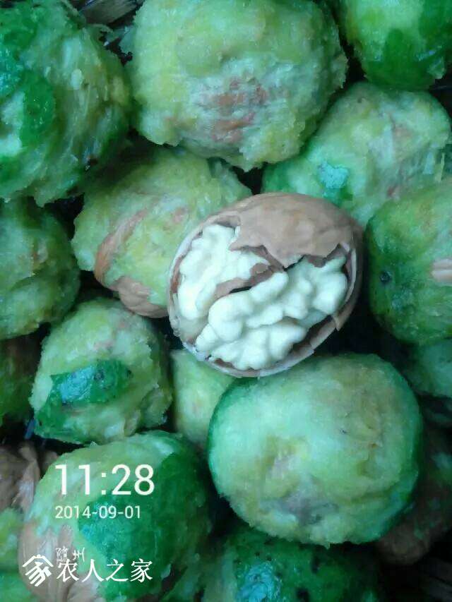 143737kbzmbfe4b80ome3m.jpeg