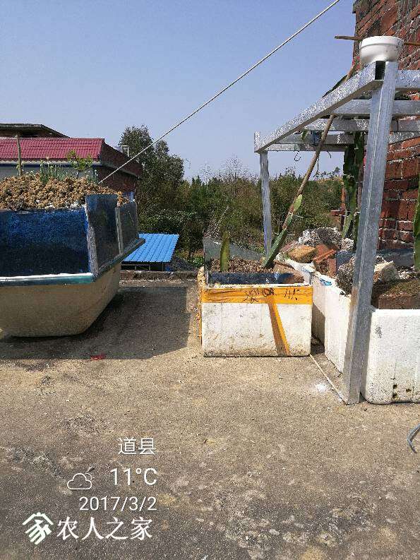 202657cvho9h1amh3873q6.jpg