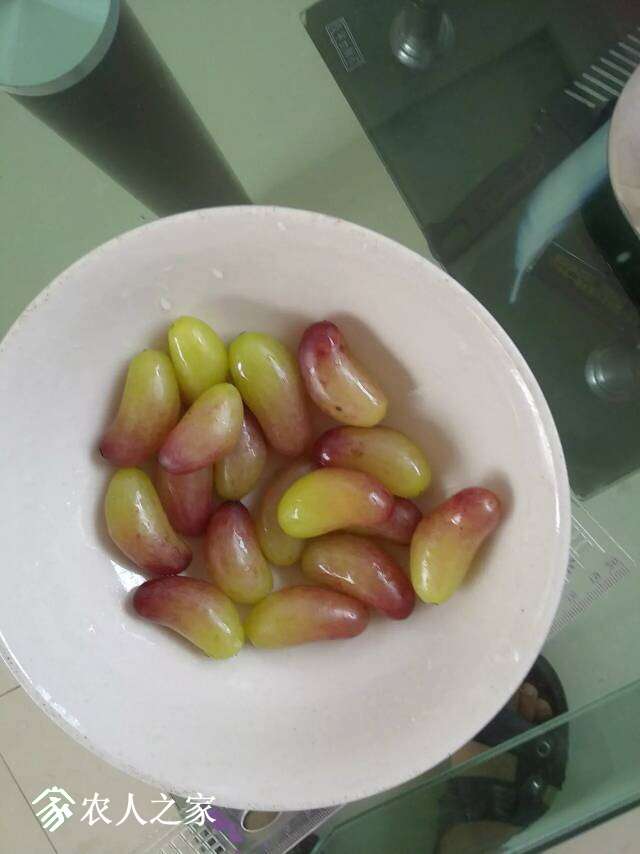 205208il0sdn00hsah69d6.jpeg