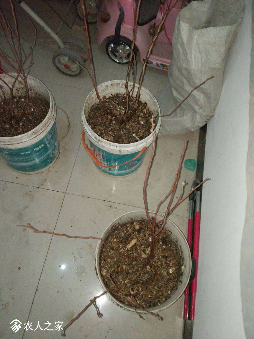 224551pojkjvjckvjnkck7.jpg