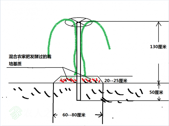 1489163084(1).png
