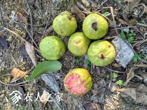IMG_20170222_163921_HDR.jpg