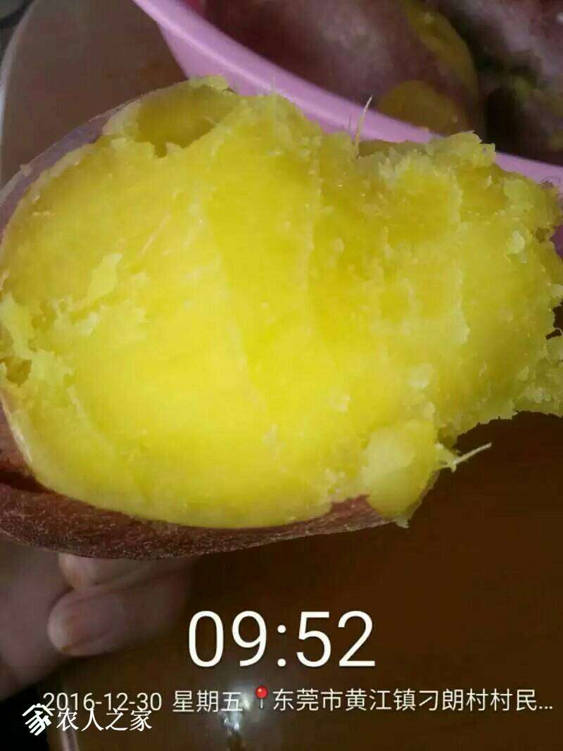 055910l1cm91221r1lxqb6.jpeg
