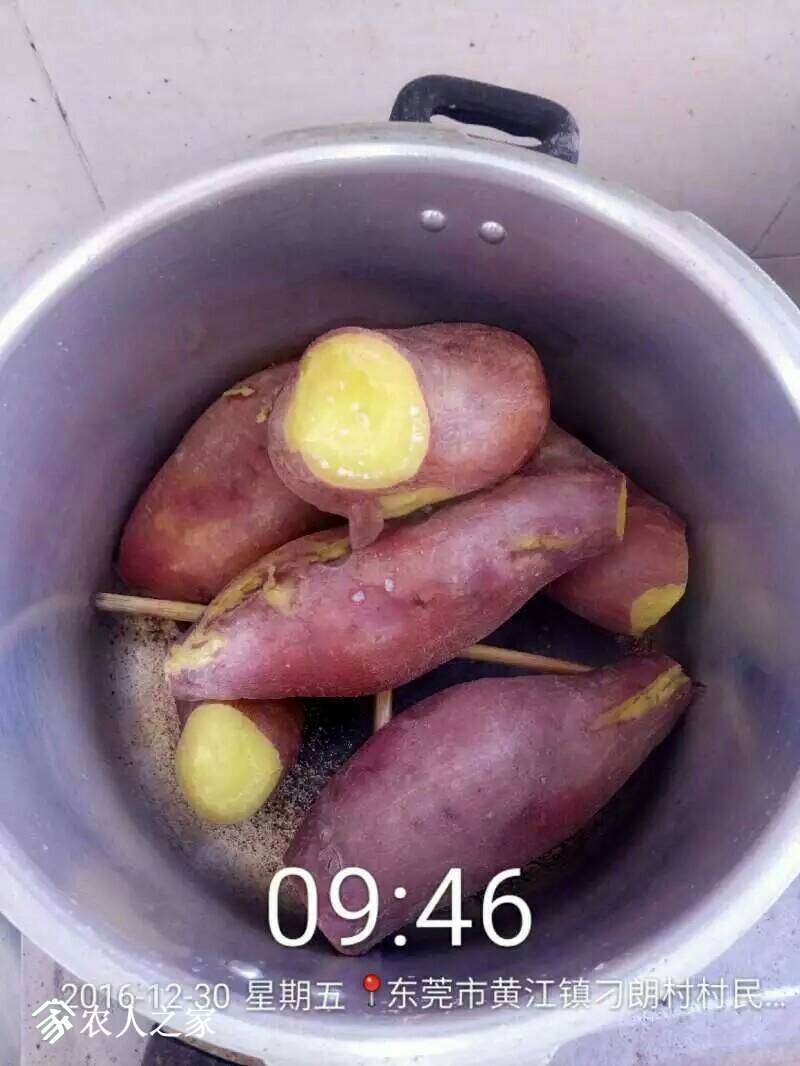 055910vcceoe8ne2ozplei.jpeg
