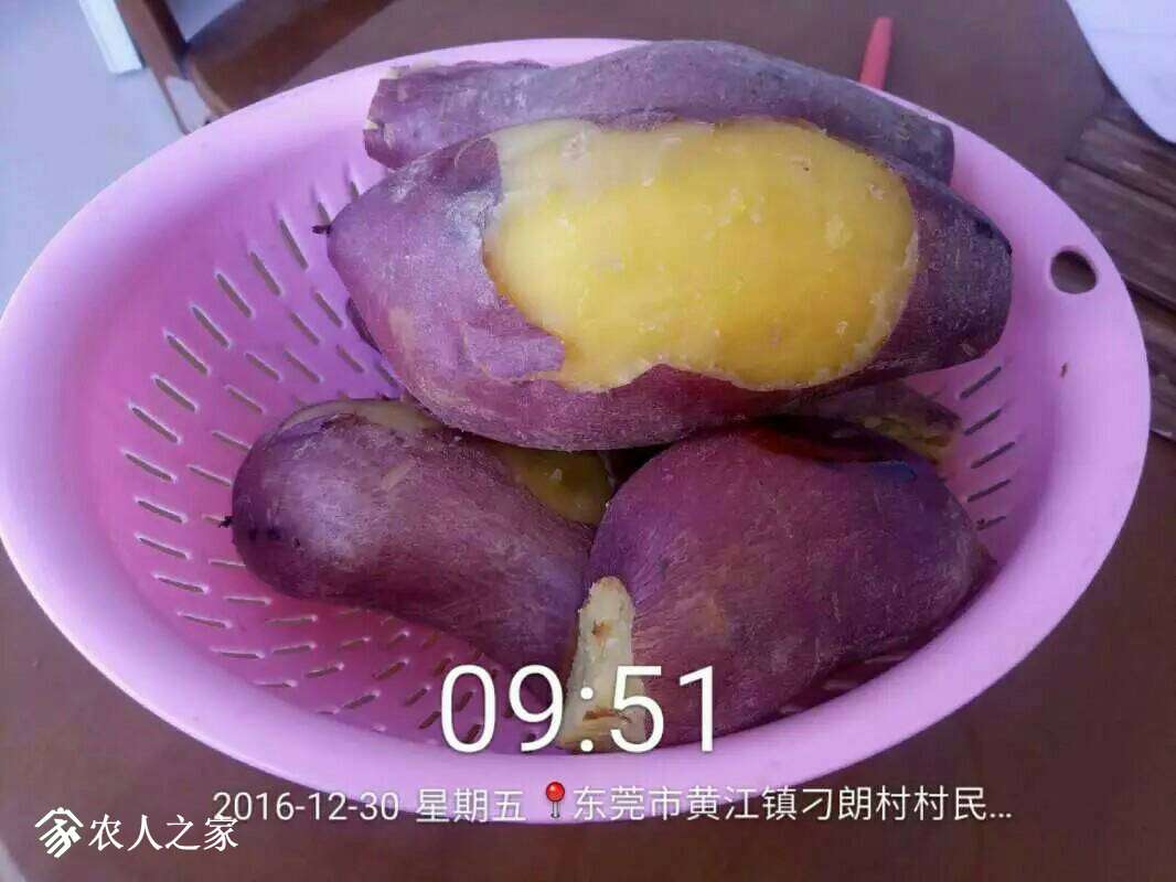 062330ifoyym5nngbmfmsb.jpeg