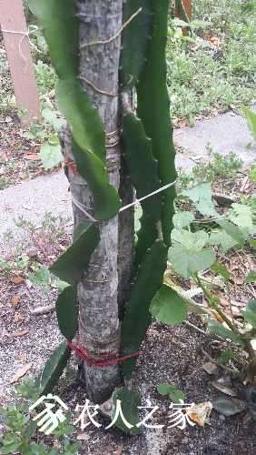 20170310_172305.jpg