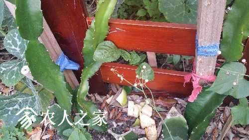 20170310_171508.jpg