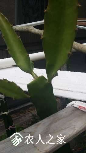 20170310_173649.jpg