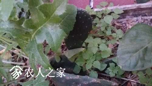 20170310_182403.jpg