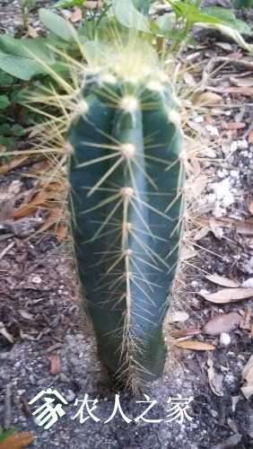 20170310_182242.jpg