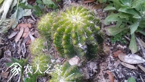 20170310_182225.jpg
