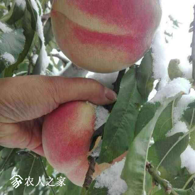 075058x2cfu222926ckz9c.jpg