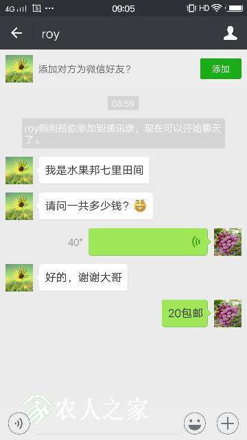 090730x5v1tvr61ts1d4ry.png