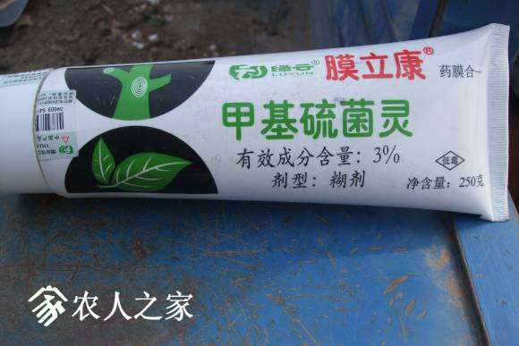 ϵ 027.jpg