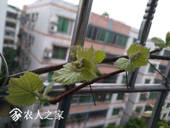 190132kbr1j1j2v2286bfb.jpg