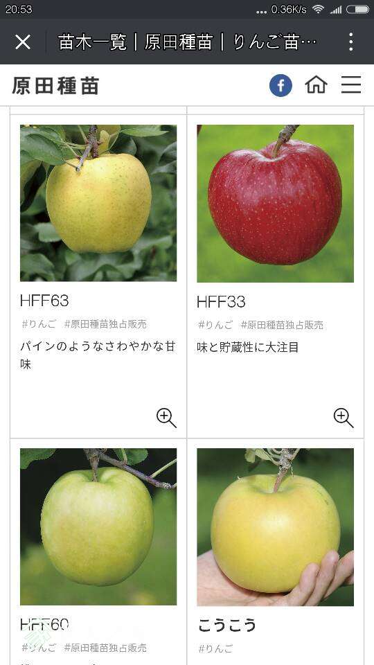 082353fjwwp8yhb33o3nz9.png