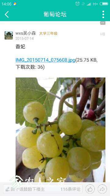 140722mkowzk9pxwtkmjko.png