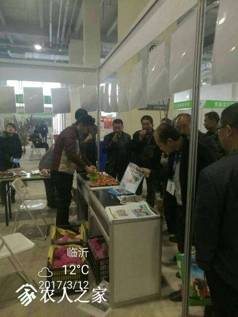164818sarxwa8fxpdaydpp.jpg