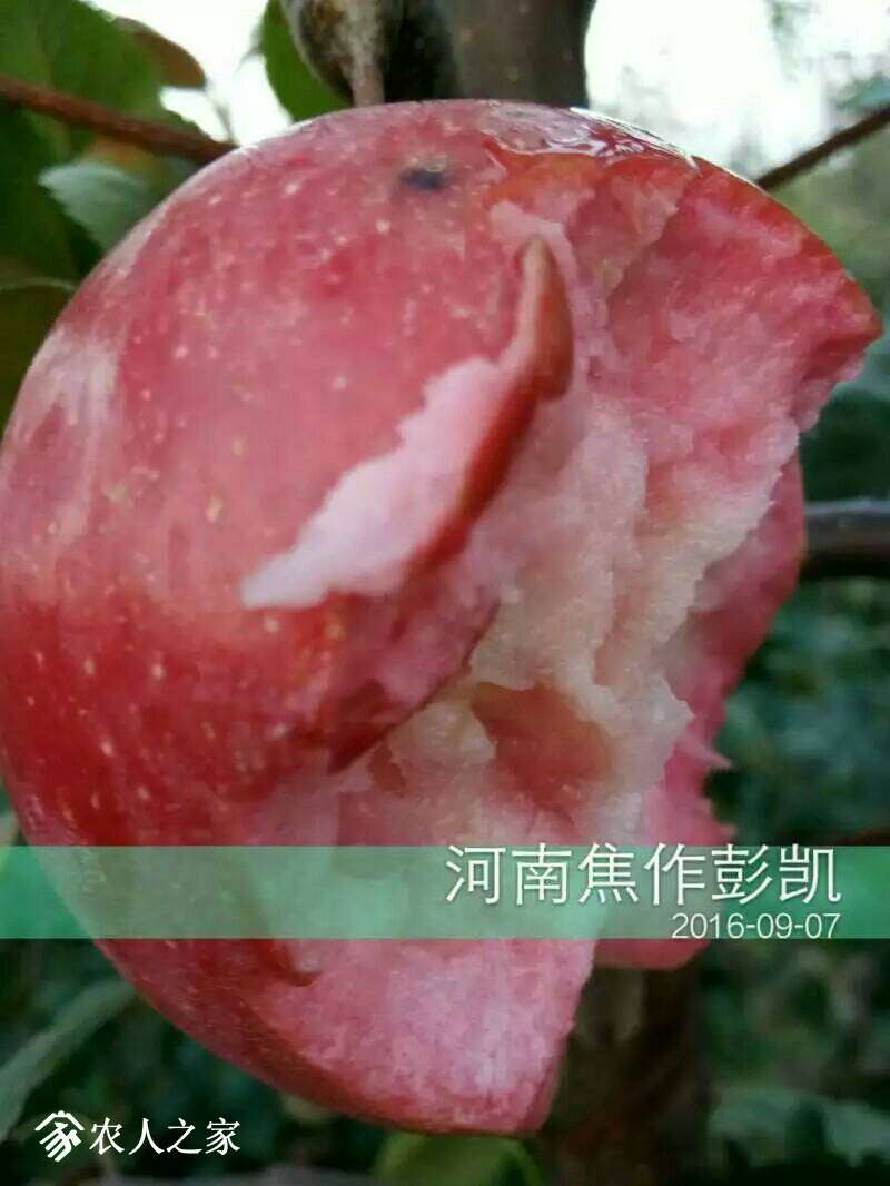 192656sj5umszprxrxspkd.jpeg