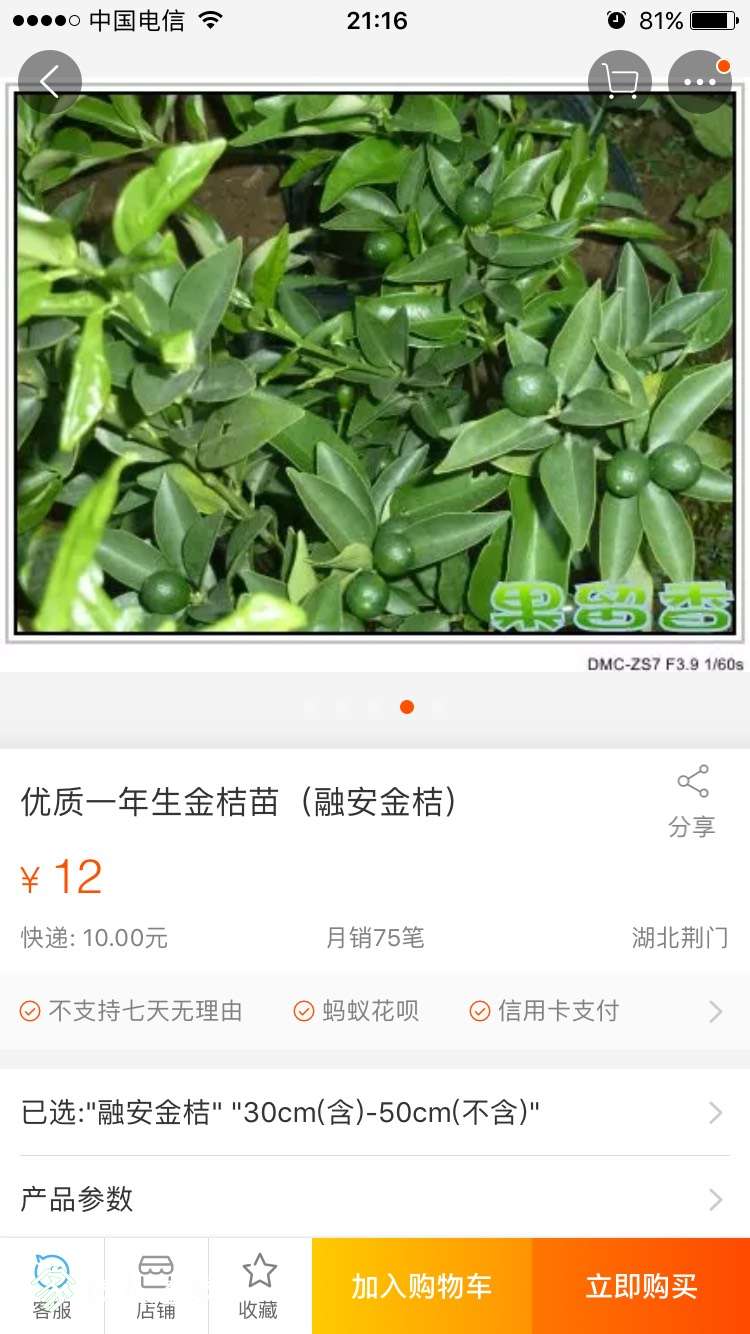 211812g1sp2qfct16kctle.jpg