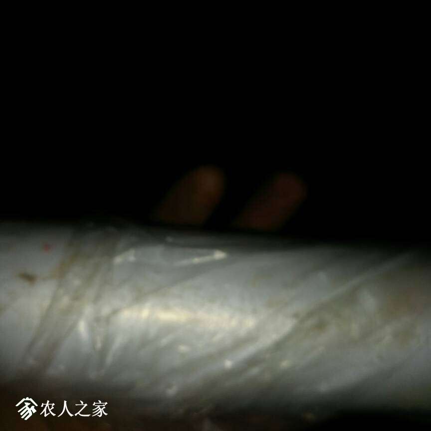 084521u1xhh3636p4pz7rp.jpg