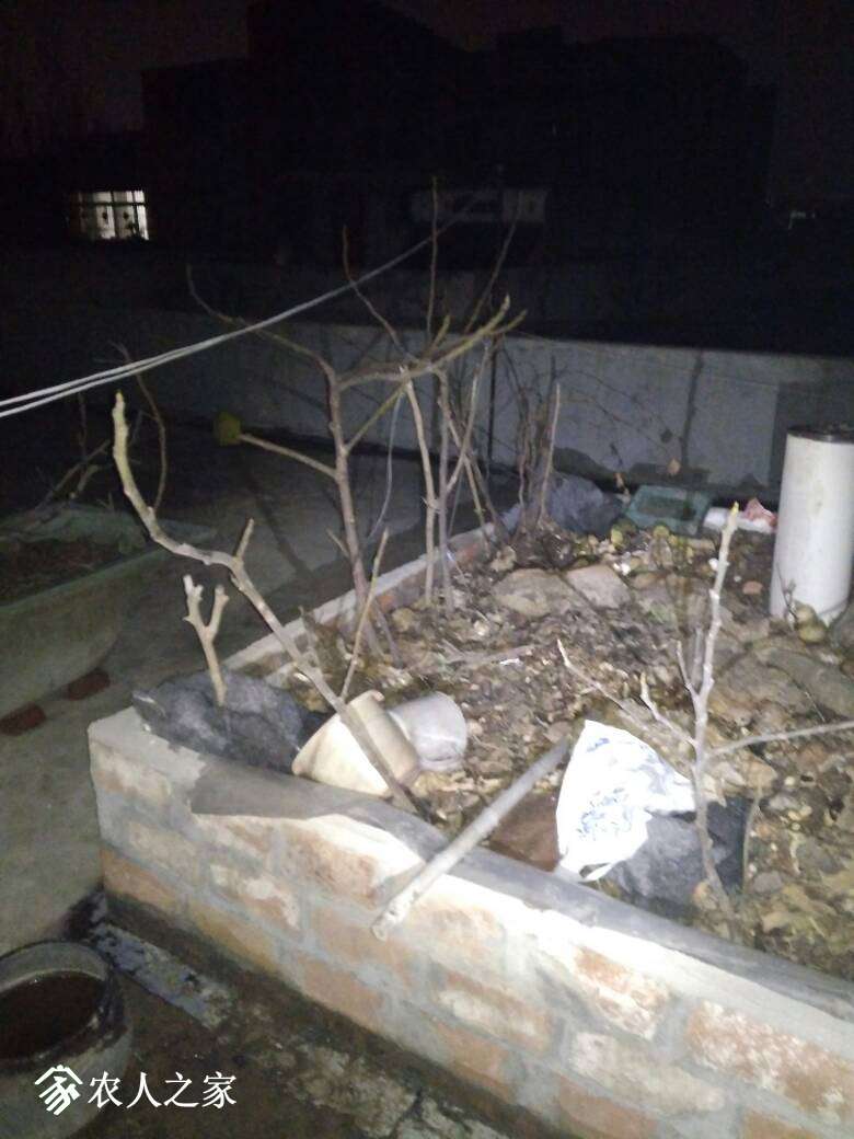 151636a00sysqu09vezeby.jpg