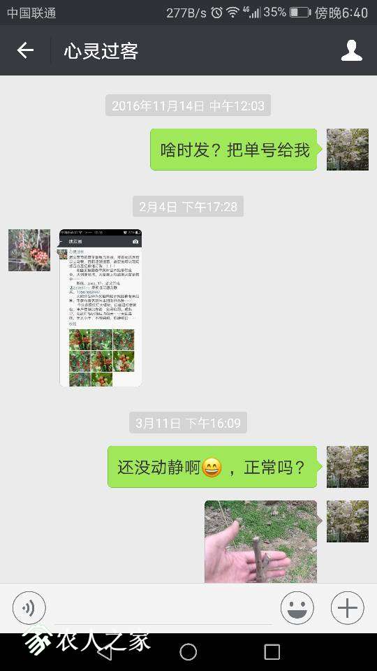 185430z7bv6h4wsbns76sy.png