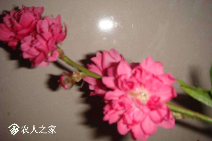 201807rkqyr3ldg5q03jkq.JPG
