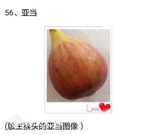 094710x1q1ii99x9xm4xmf.png