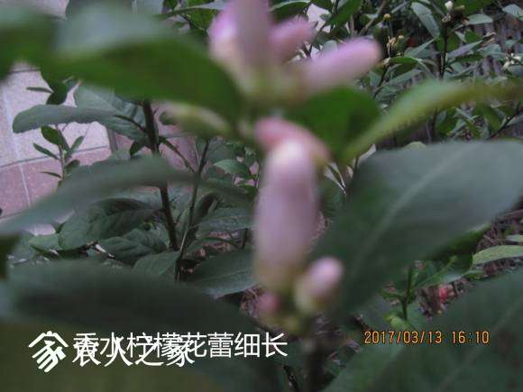 IMG_0398__.jpg