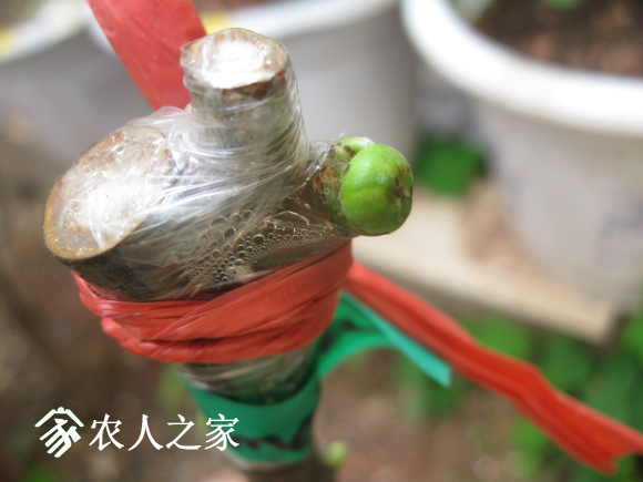 QQͼƬ20170314093335.png