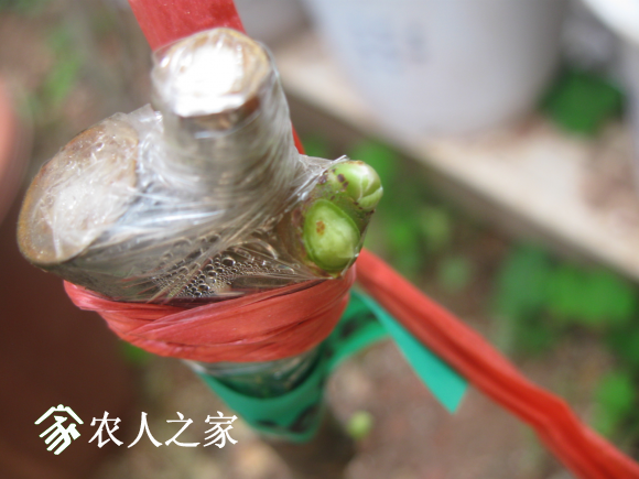 QQͼƬ20170314093438.png