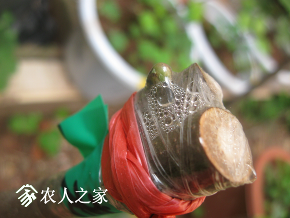 QQͼƬ20170314093022.png