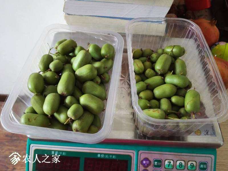 150650o7g9l17xlxxxzui9.jpg