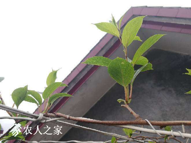 204141t11u7m61u22jm44b.jpg