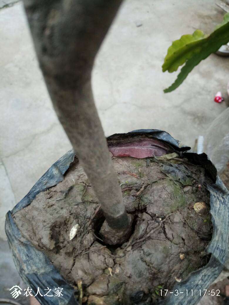 223628mqgai82agag87kg8.jpg