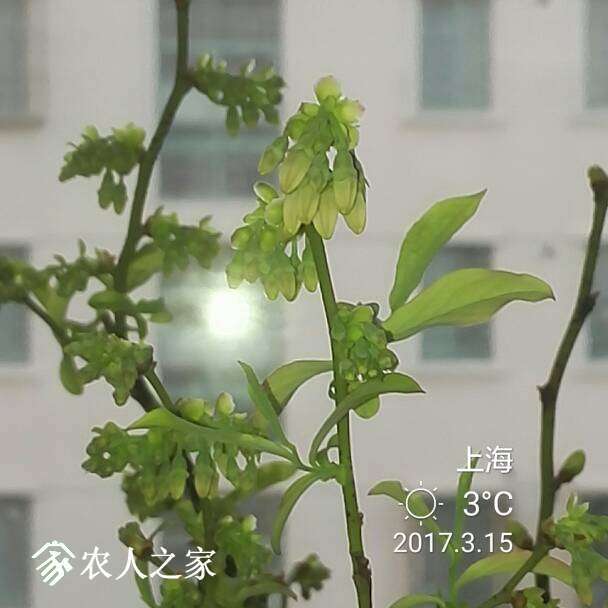 135338abfyqk3fm86jhq6h.jpg